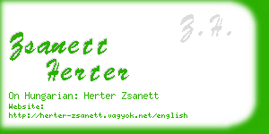 zsanett herter business card